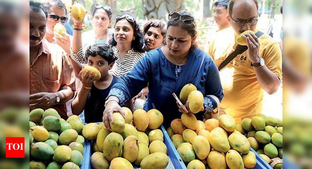 Magic Fruit Bengaluru News Times of India