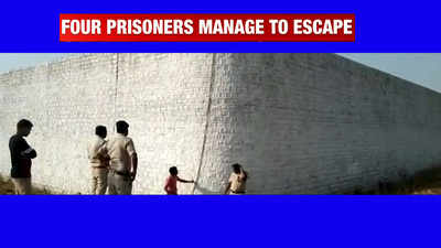Madhya Pradesh: 4 prisoners escape from Neemuch jail; probe ordered