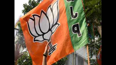 BJP plans to add 50L new cadre