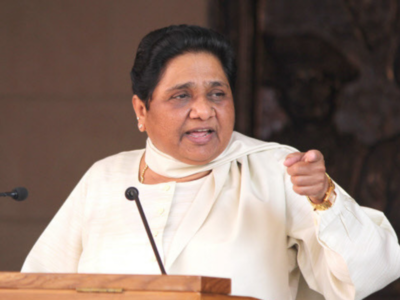 Mayawati appoints brother, nephew to key party posts