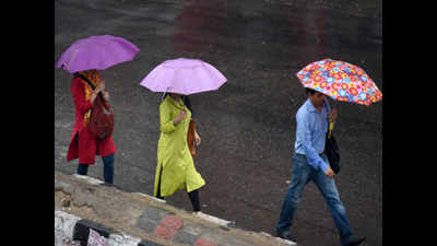 Cloudy skies with light to moderate rain likely in Delhi today