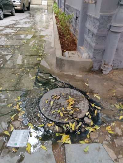 top locality in filth,complaints go in vain