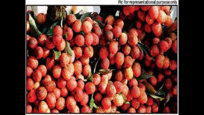 Jaipur: Litchi demand falls after AES hysteria