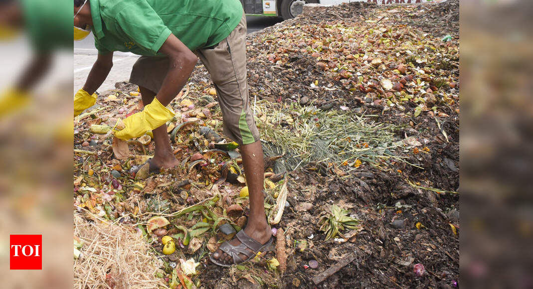 Wet waste composting process kicks off Chandigarh News Times of India
