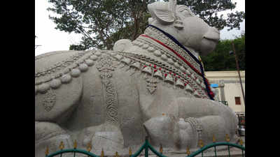 Heritage deparment set to start work on fissures on Nandi statue