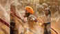 Akshay Kumar’s ‘Kesari’ to release in Japan