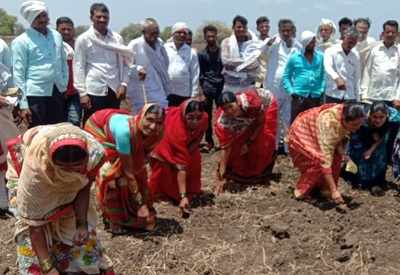 Pro-GM seed movement spreads to 11 districts in Maharashtra, bail of Buldhana farmer rejected