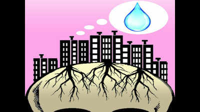 South Delhi locality turns the table, groundwater rises 2.75ft