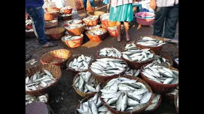 Ban prompts sellers to rely on local fish varieties, frozen stock