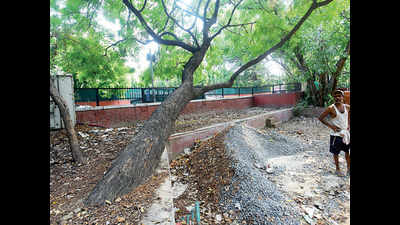 Concrete around trees to cost Bikaner House Rs 18 lakh