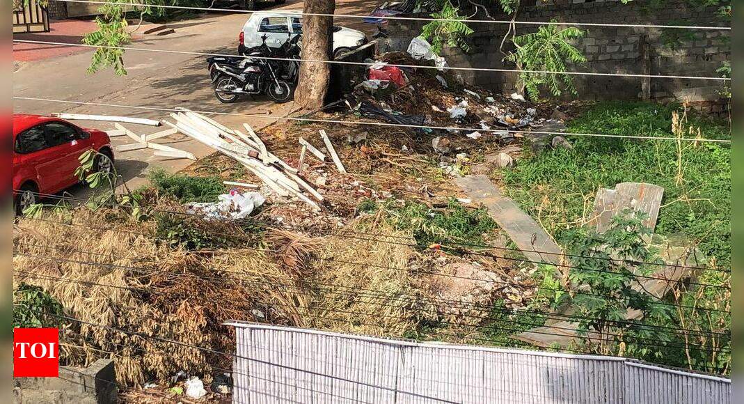 Park of MLA colony , Road no.12, Banjara Hills Times of India