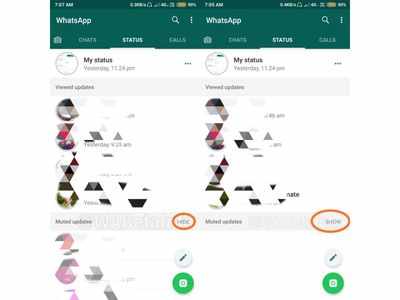 Whatsapp Status View: WhatsApp is now giving you flexibility to view ...