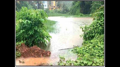 Rain exposes sewage in pond at Vainguinim