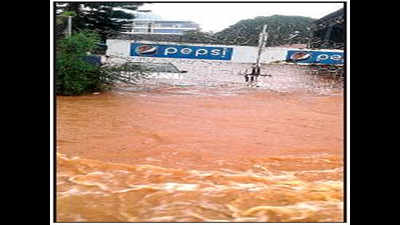 Waterlogging, tree falls, traffic jams in South Goa