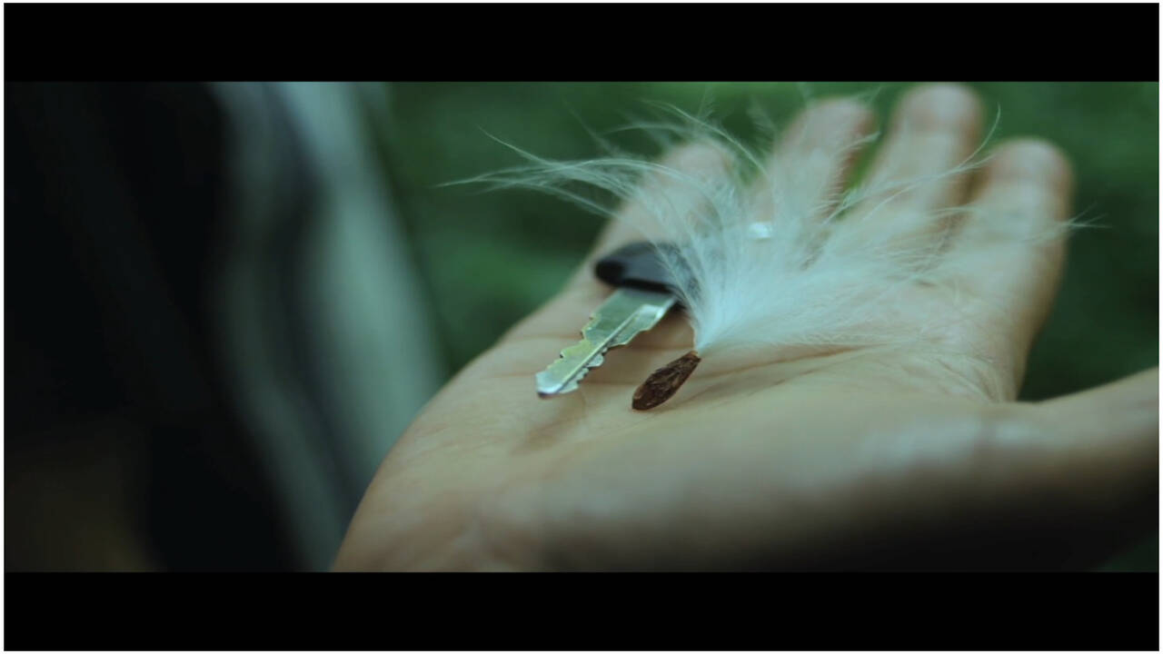 Did You Know the milkweeds used in 'Maheshinte Prathikaram' were  artificial? | Malayalam Movie News - Times of India