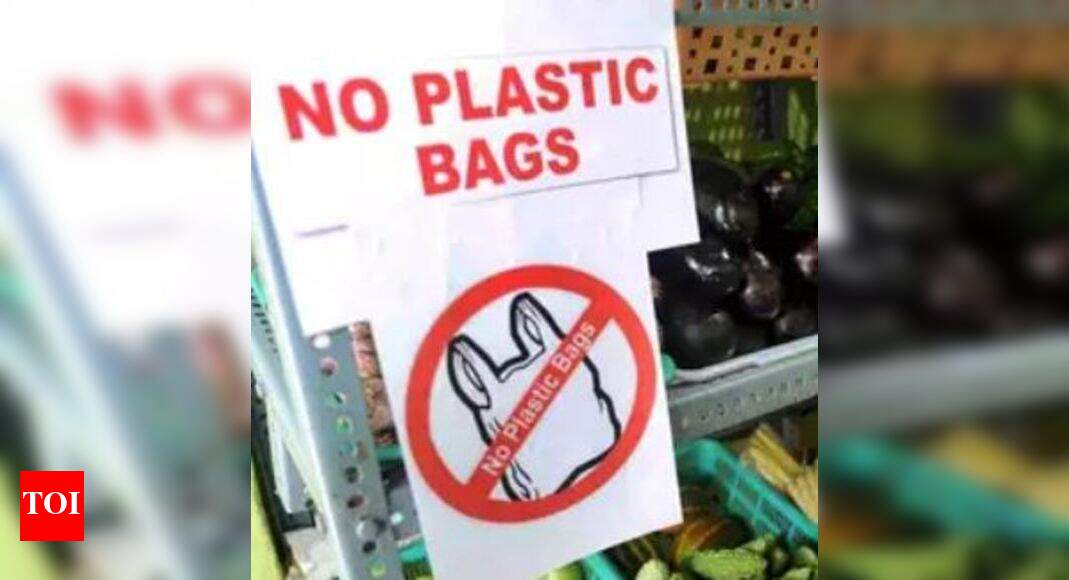 Govt acted against 6,369 shops for violating plastic ban, says