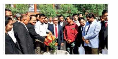 Tree plantation at Kolhapur district court