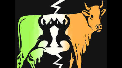 Congress govt in Madhya Pradesh to frame law against cow vigilantism