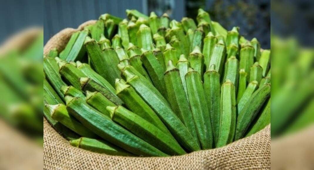 Health Benefits Of Okra You Should Know About