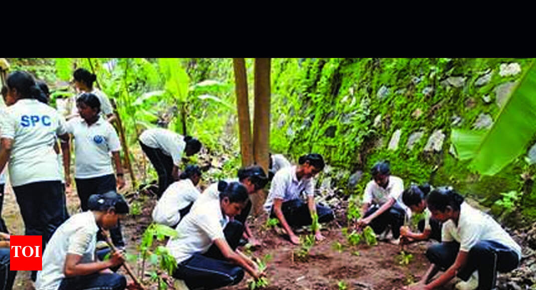 Thiruvananthapuram Cotton Hill girls’ school goes the Miyawaki way