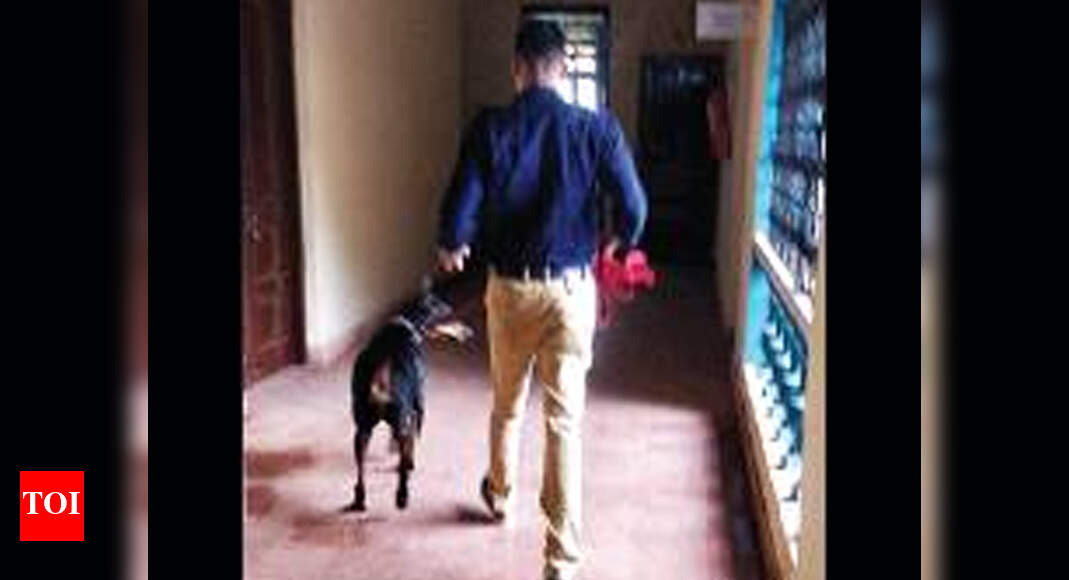 Undertrial accused of raping UK woman flees from court loo | Goa News ...