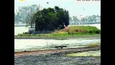 Upper Lake water to last for another 2 weeks, says BMC