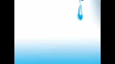 Dindori MP Bharti Pawar raises water issues in parliament