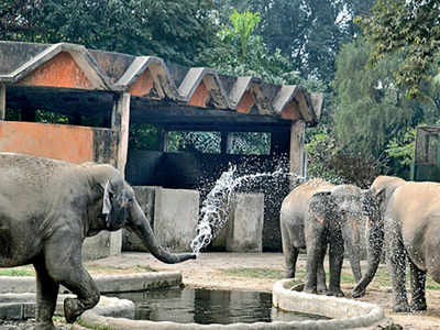 In hi-technology move, zoo to get augmented reality park