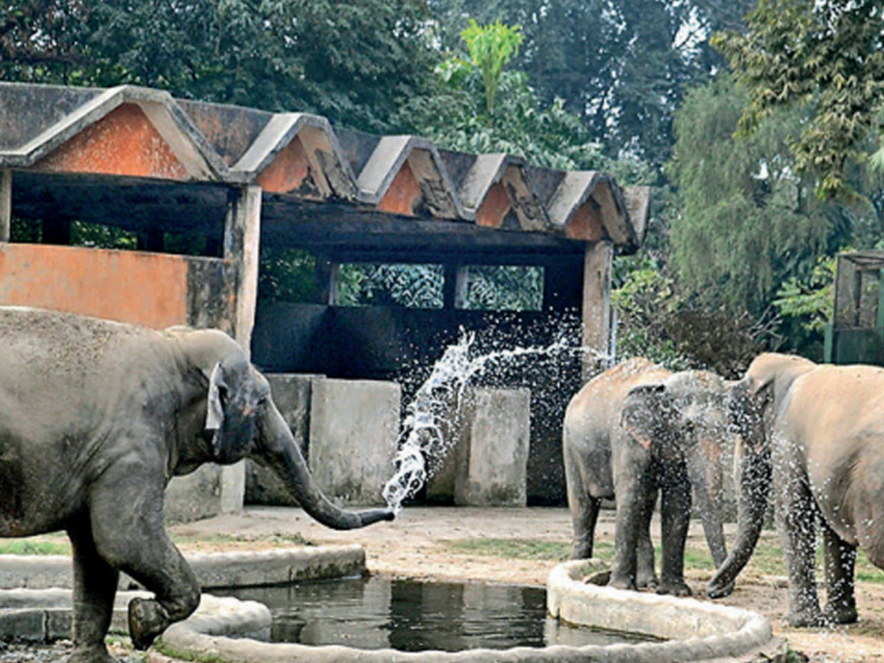 In hi-technology move, zoo to get augmented reality park | Kolkata ...