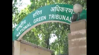 Gujarat: NGT push spelt the difference