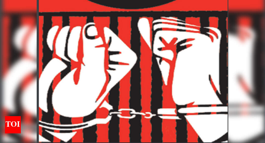 Goa: Three arrested for threatening RTI activist | Goa News - Times of ...