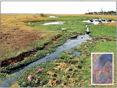 Lakes brimming: Not with water, but sewage in Chennai