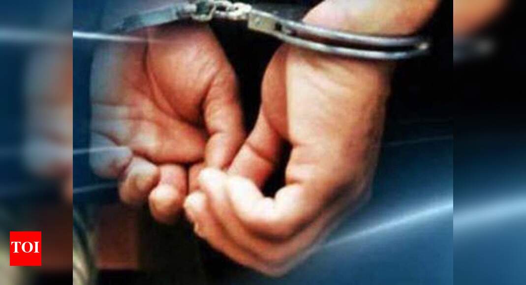 Indian-origin truck driver arrested in US for killing wife, three ...