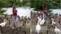 Shilpa Shetty Kundra gets scared of ducks on her visit to London, shares video