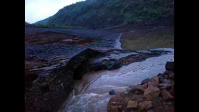 Chiplun records high rainfall, flood-like situation in 7 villages