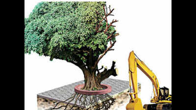 Forest guard held for allowing developer to chop 2,200 trees