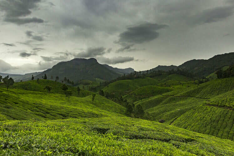 Experiencing monsoon in Kerala | Times of India Travel