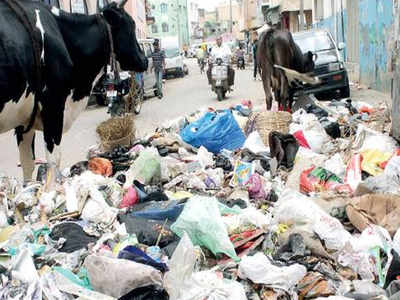 Clean Bengaluru plan: Segregate waste or pay hefty penalties from September 1