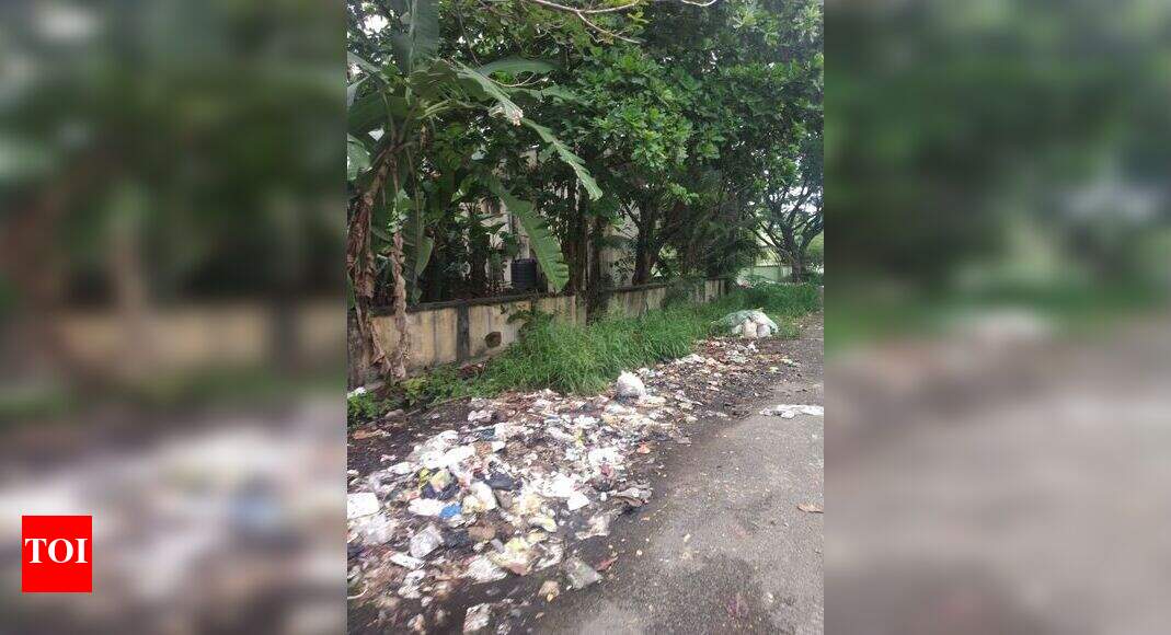 waste collection failure in port trust area - Times of India