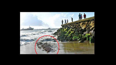 NGO wants renaming of Fort Kochi | Kochi News - Times of India