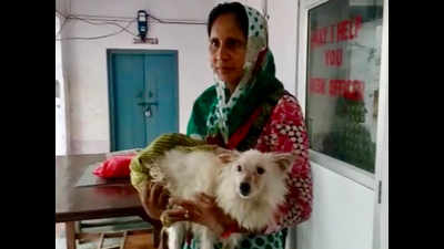 Three persons booked by Hathras police for ‘raping a dog’