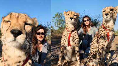 Kriti Sanon is ‘chilling like a villain’ with cheetahs in Zambia