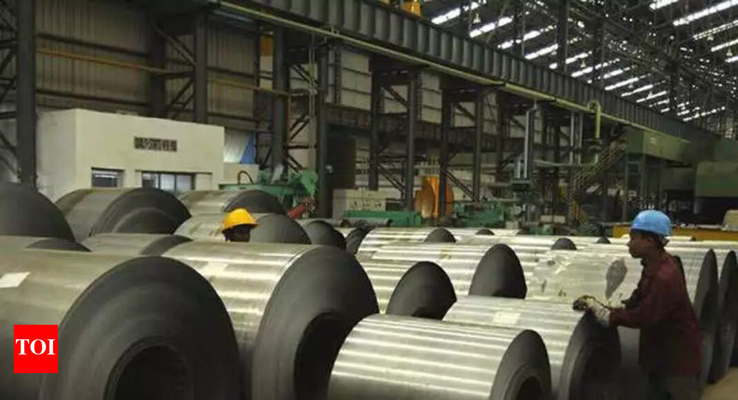 PNB alleges Rs 3,800cr fraud by Bhushan Steel