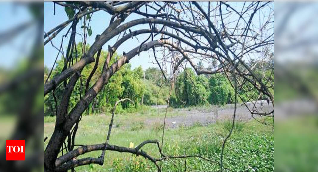 Mundamveli But not everything here is rosy Kochi News Times of India