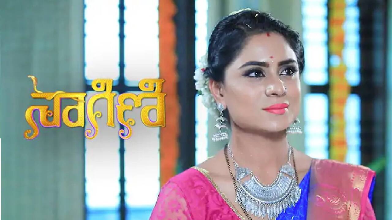 Nagini kannada serial