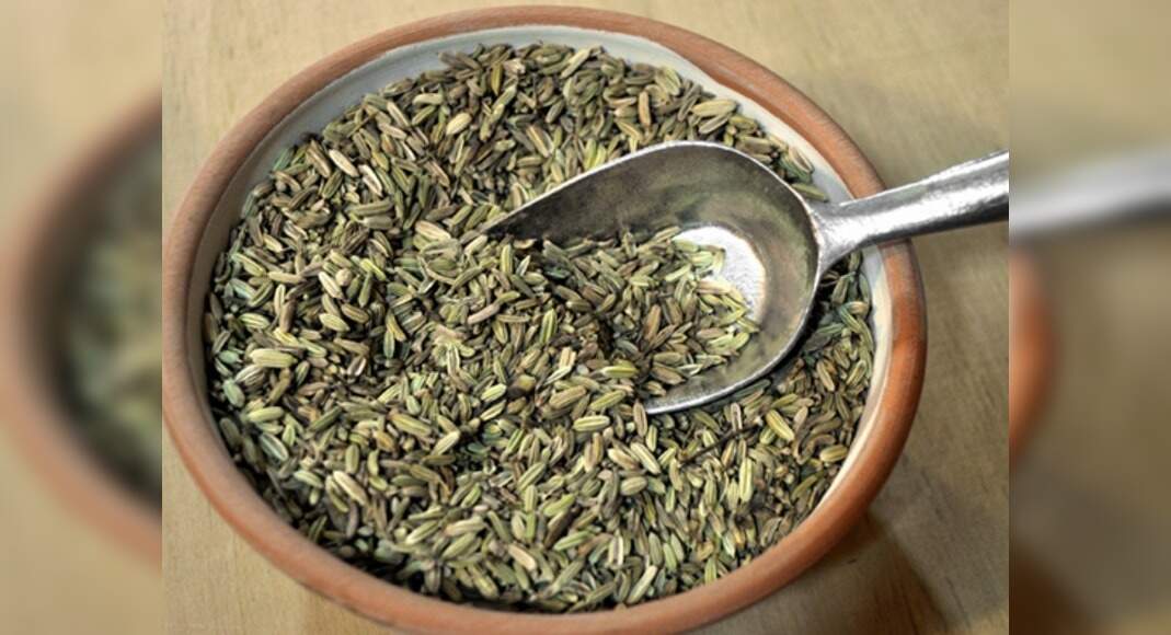 Fennel Seeds For Weight Loss How fennel seeds can help you lose weight