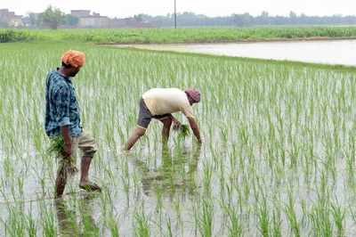 Centre asks States to send beneficiary list of farmers under PM-KISAN scheme