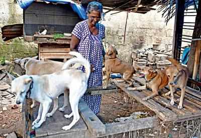 Here is a lesson in compassion | Thiruvananthapuram News - Times of India