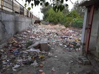 Open dump on NH9 near Ghazipur