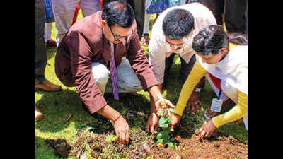 Ooty college students celebrate birthdays by planting trees
